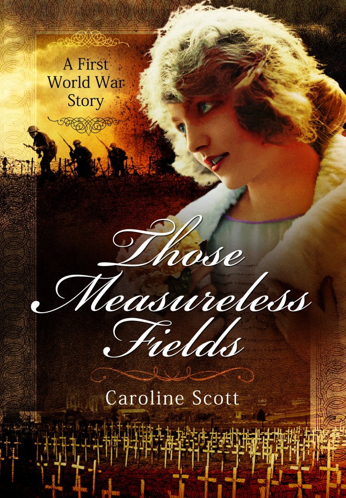 Those Measureless Fields